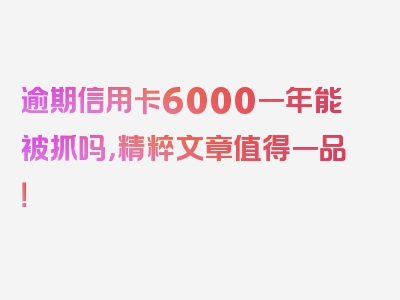 逾期信用卡6000一年能被抓吗，精粹文章值得一品！