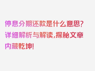 停息分期还款是什么意思?详细解析与解读，探秘文章内藏乾坤！