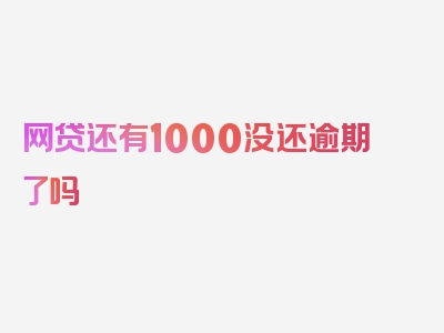 网贷还有1000没还逾期了吗