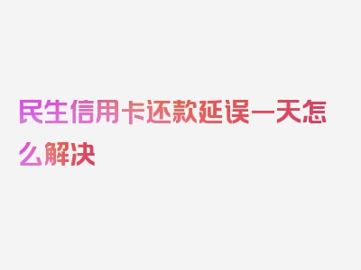 民生信用卡还款延误一天怎么解决