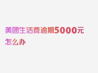 美团生活费逾期5000元怎么办