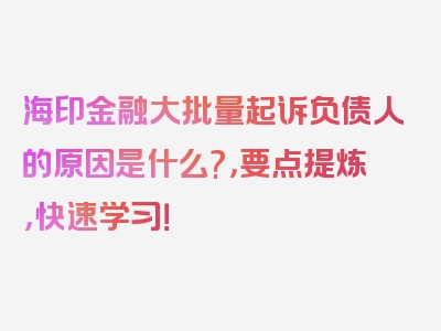 海印金融大批量起诉负债人的原因是什么?，要点提炼，快速学习！