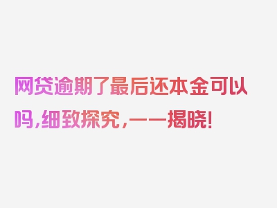 网贷逾期了最后还本金可以吗，细致探究，一一揭晓！