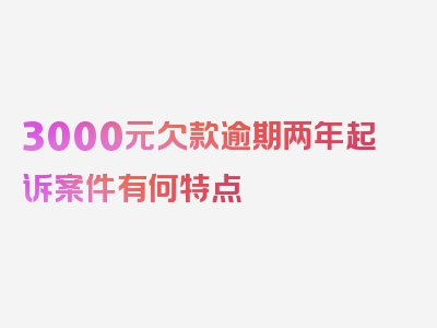 3000元欠款逾期两年起诉案件有何特点