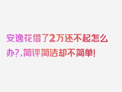 安逸花借了2万还不起怎么办?，简评简洁却不简单！