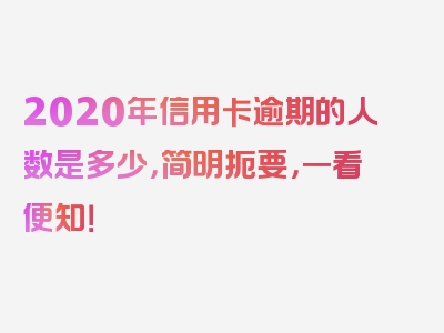 2020年信用卡逾期的人数是多少，简明扼要，一看便知！