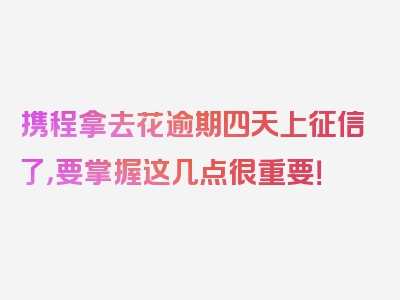 携程拿去花逾期四天上征信了，要掌握这几点很重要！