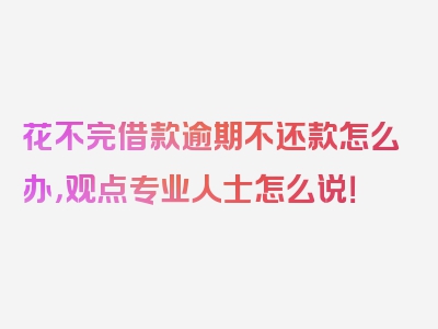 花不完借款逾期不还款怎么办，观点专业人士怎么说！