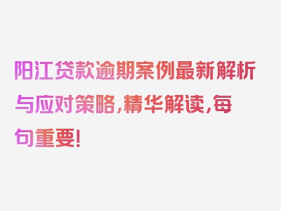 阳江贷款逾期案例最新解析与应对策略，精华解读，每句重要！