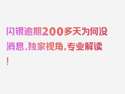 闪银逾期200多天为何没消息，独家视角，专业解读！