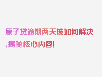 原子贷逾期两天该如何解决，揭秘核心内容！