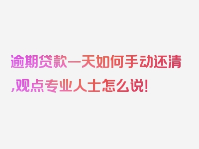 逾期贷款一天如何手动还清，观点专业人士怎么说！