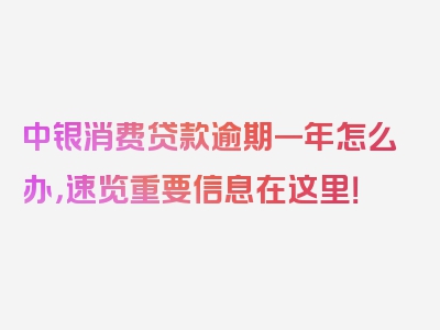 中银消费贷款逾期一年怎么办，速览重要信息在这里！