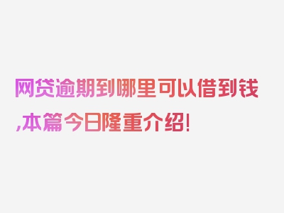 网贷逾期到哪里可以借到钱，本篇今日隆重介绍!