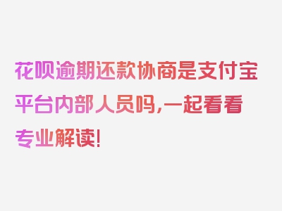 花呗逾期还款协商是支付宝平台内部人员吗，一起看看专业解读!