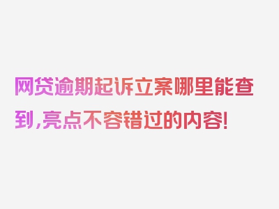 网贷逾期起诉立案哪里能查到，亮点不容错过的内容！