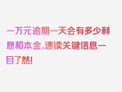 一万元逾期一天会有多少利息和本金，速读关键信息一目了然！