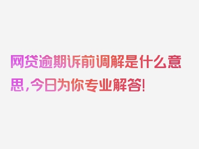 网贷逾期诉前调解是什么意思，今日为你专业解答!