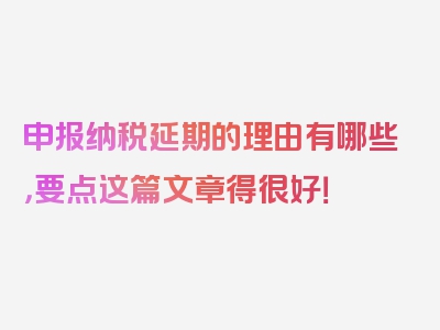 申报纳税延期的理由有哪些，要点这篇文章得很好！