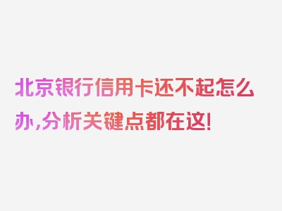 北京银行信用卡还不起怎么办，分析关键点都在这！