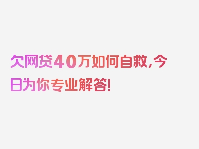 欠网贷40万如何自救，今日为你专业解答!