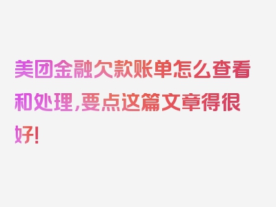 美团金融欠款账单怎么查看和处理，要点这篇文章得很好！