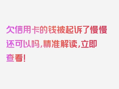 欠信用卡的钱被起诉了慢慢还可以吗，精准解读，立即查看！