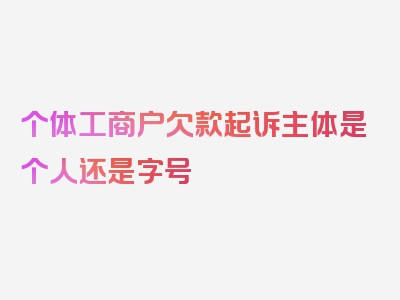 个体工商户欠款起诉主体是个人还是字号