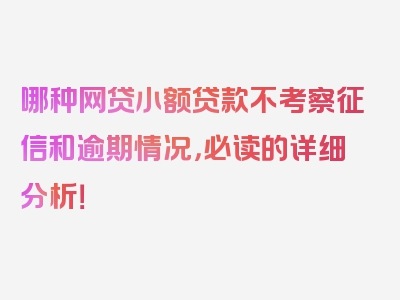 哪种网贷小额贷款不考察征信和逾期情况，必读的详细分析！