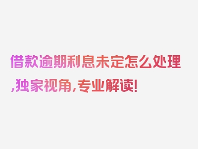 借款逾期利息未定怎么处理，独家视角，专业解读！