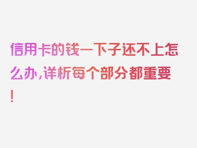 信用卡的钱一下子还不上怎么办，详析每个部分都重要！