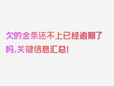 欠的金条还不上已经逾期了吗，关键信息汇总！