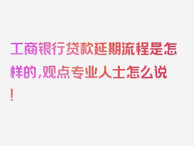 工商银行贷款延期流程是怎样的，观点专业人士怎么说！