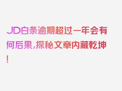 JD白条逾期超过一年会有何后果，探秘文章内藏乾坤！