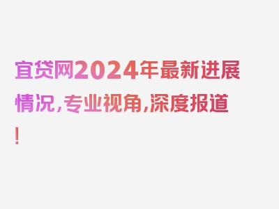 宜贷网2024年最新进展情况，专业视角，深度报道！