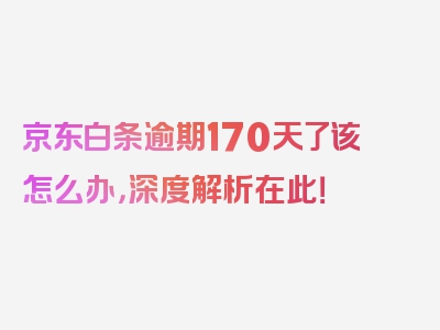 京东白条逾期170天了该怎么办，深度解析在此！