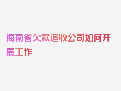 海南省欠款追收公司如何开展工作