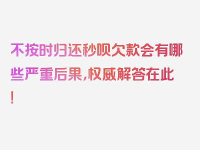 不按时归还秒呗欠款会有哪些严重后果，权威解答在此！