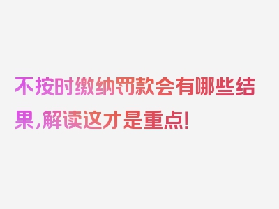 不按时缴纳罚款会有哪些结果，解读这才是重点！