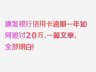 浦发银行信用卡逾期一年如何追讨20万，一篇文章，全部明白！