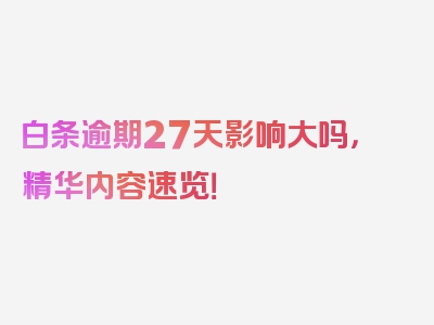 白条逾期27天影响大吗，精华内容速览！