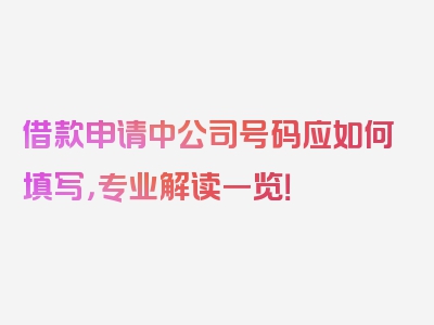 借款申请中公司号码应如何填写，专业解读一览！