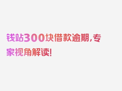 钱站300块借款逾期，专家视角解读！