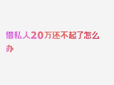 借私人20万还不起了怎么办