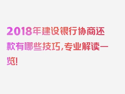 2018年建设银行协商还款有哪些技巧，专业解读一览！