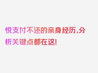 悦支付不还的亲身经历，分析关键点都在这！