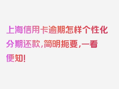 上海信用卡逾期怎样个性化分期还款，简明扼要，一看便知！