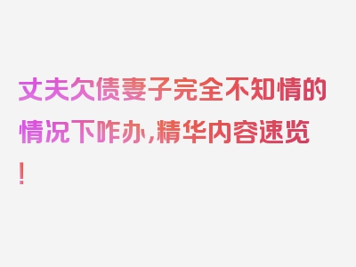 丈夫欠债妻子完全不知情的情况下咋办，精华内容速览！