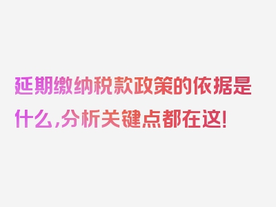 延期缴纳税款政策的依据是什么，分析关键点都在这！