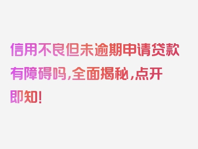 信用不良但未逾期申请贷款有障碍吗，全面揭秘，点开即知！